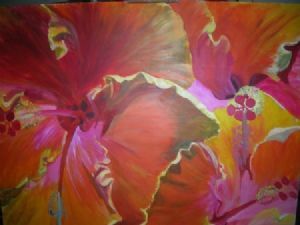 "Natures Clashing Colours"
