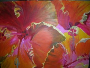 "Natures Clashing Colours"