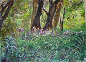 "Kirstenbosch"