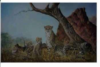 "The Cheetah Family"