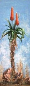 "Aloe Africana"