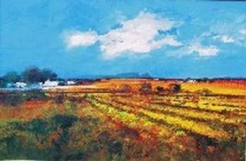 "Cape Vineyards"