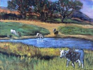 "Dawson's Farm"
