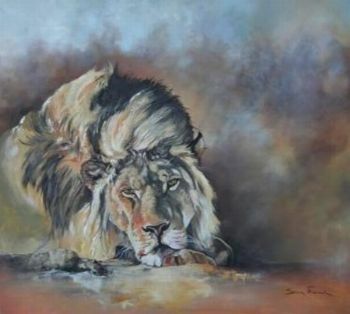 "Resting Lion Male"
