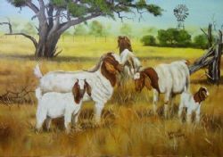 Tranquil Goats