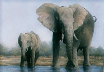 "Elephant with Calf"