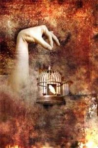 "Caged Grace"