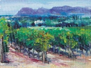 "Constantia vineyards and Muizenberg"