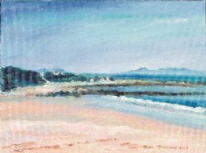 "Rooi Els and Palmiet River Estuary"