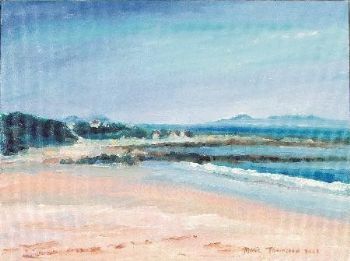 "Rooi Els and Palmiet River Estuary"