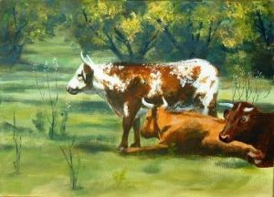 "Nguni Cows (Group)"
