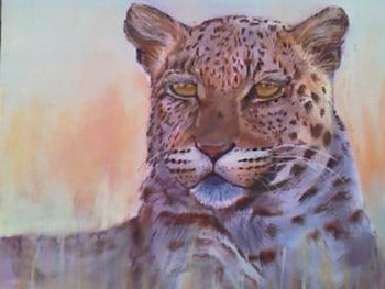 "Leopard"