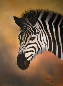 "Zebra"