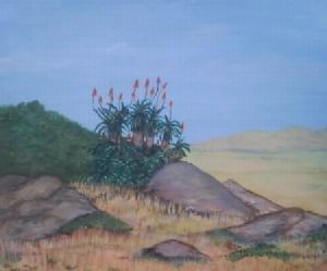 "Aalwyn landscape"