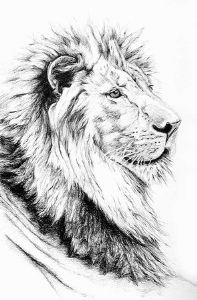"Lion of Judah"