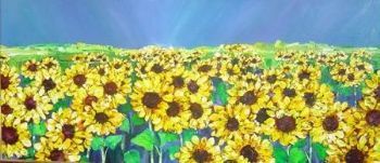 "Sunflower Field 1"