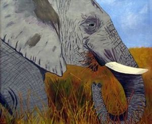 "African Elephant"