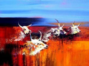 "Nguni Cattle"