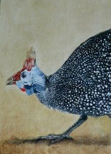 "Guineafowl"