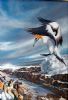 "Gannets, West Coast"