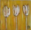 "White and Yellow Tulips"
