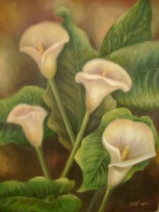 "Arum Lilies"