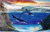 "Dolphins' World"
