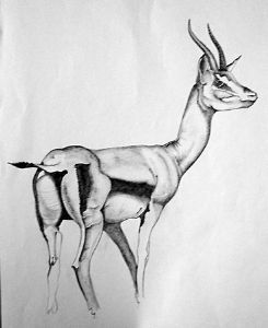 "Bok"