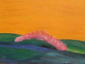 "A Pink bit of Fluff"