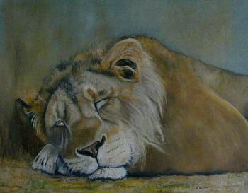 "Sleeping lion"
