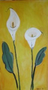 "White Arum Lilies"