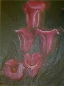 "Pink Arum lilies"