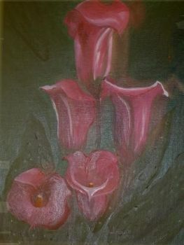 "Pink Arum lilies"