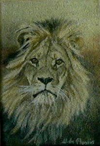 "close up, lion portrait #1"