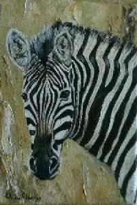 "Zebra portrait"