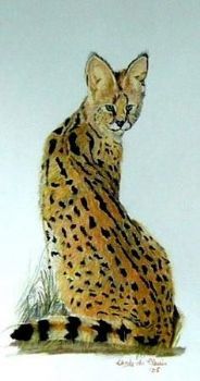 "Serval"
