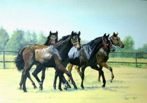 "Four yearlings"