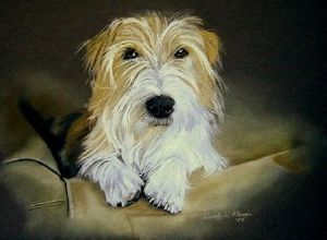 "Dog portrait on couch"