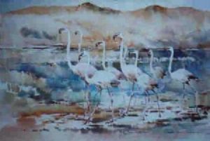 "Flamingo"