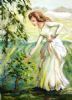 "Dawn in the Vineyard"