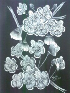 "Cherry Blossoms 2"