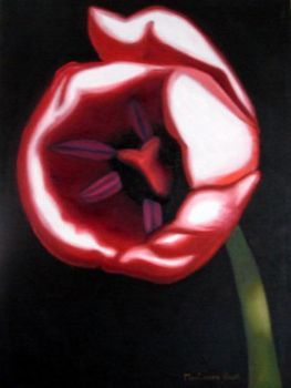 "Tulip Lale 2"