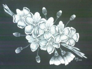 "Chery Blossom 4"