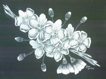 "Chery Blossom 4"