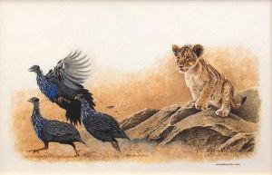 "Lion Cub & Vulturine Guinea Fowl"