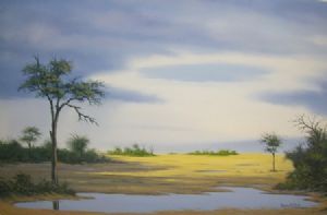 "Spring Rain - Makgadikgadi"