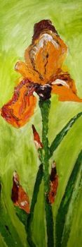 "Orange Fewer - Iris"