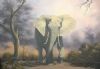 "Elephant, Savuti"