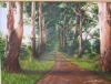 "Eucalyptus avenue"