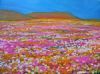 "Namaqualand landscape 2"